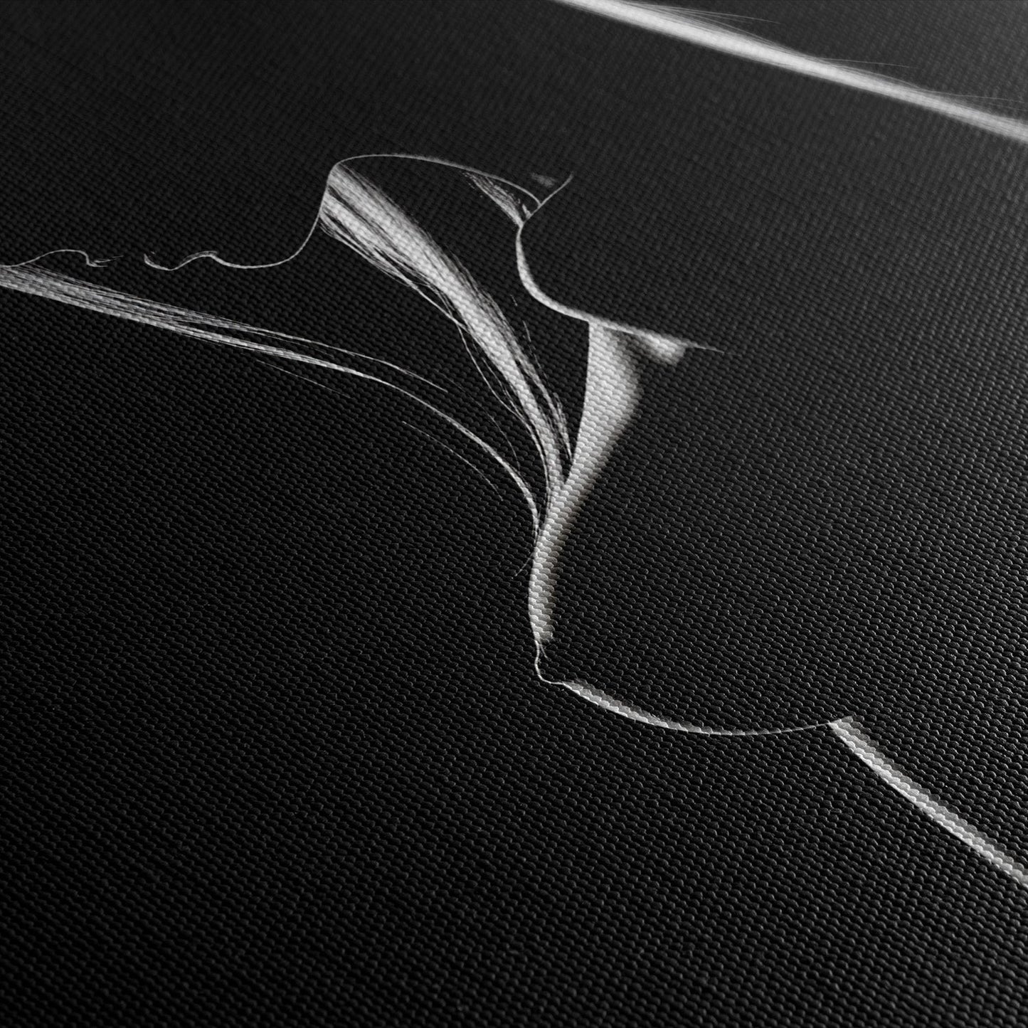 SHADOWPLAY II*Canvas*40x60*Canvas*Kunstwerk*Masculina.nl