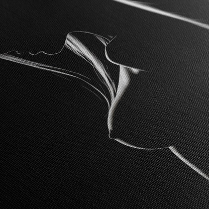 SHADOWPLAY II*Canvas*40x60*Canvas*Kunstwerk*Masculina.nl