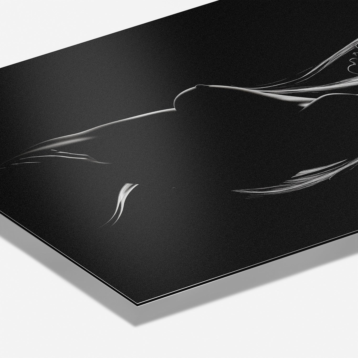 SHADOWPLAY II*Dibond*40x60*Dibond*Kunstwerk*Masculina.nl