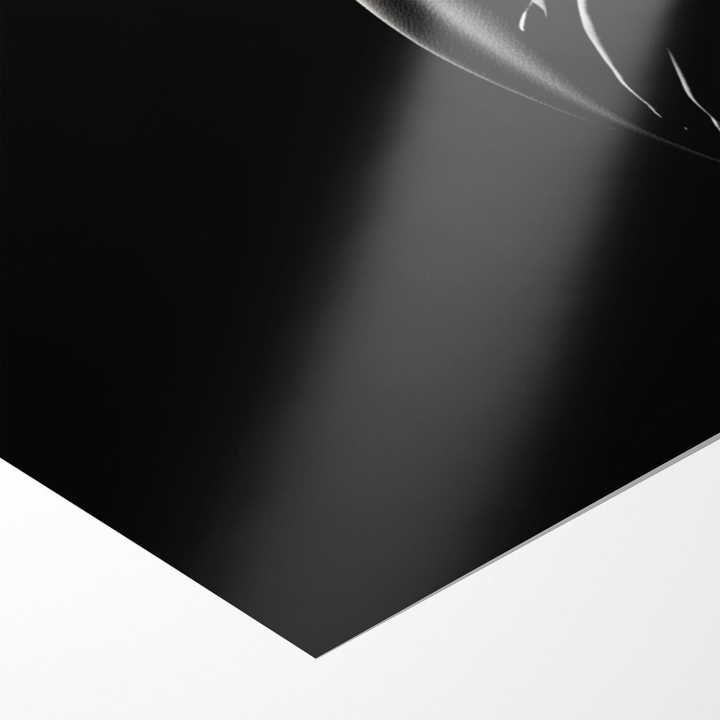 SHADOWPLAY II*Papier*40x60*Papier*Kunstwerk*Masculina.nl