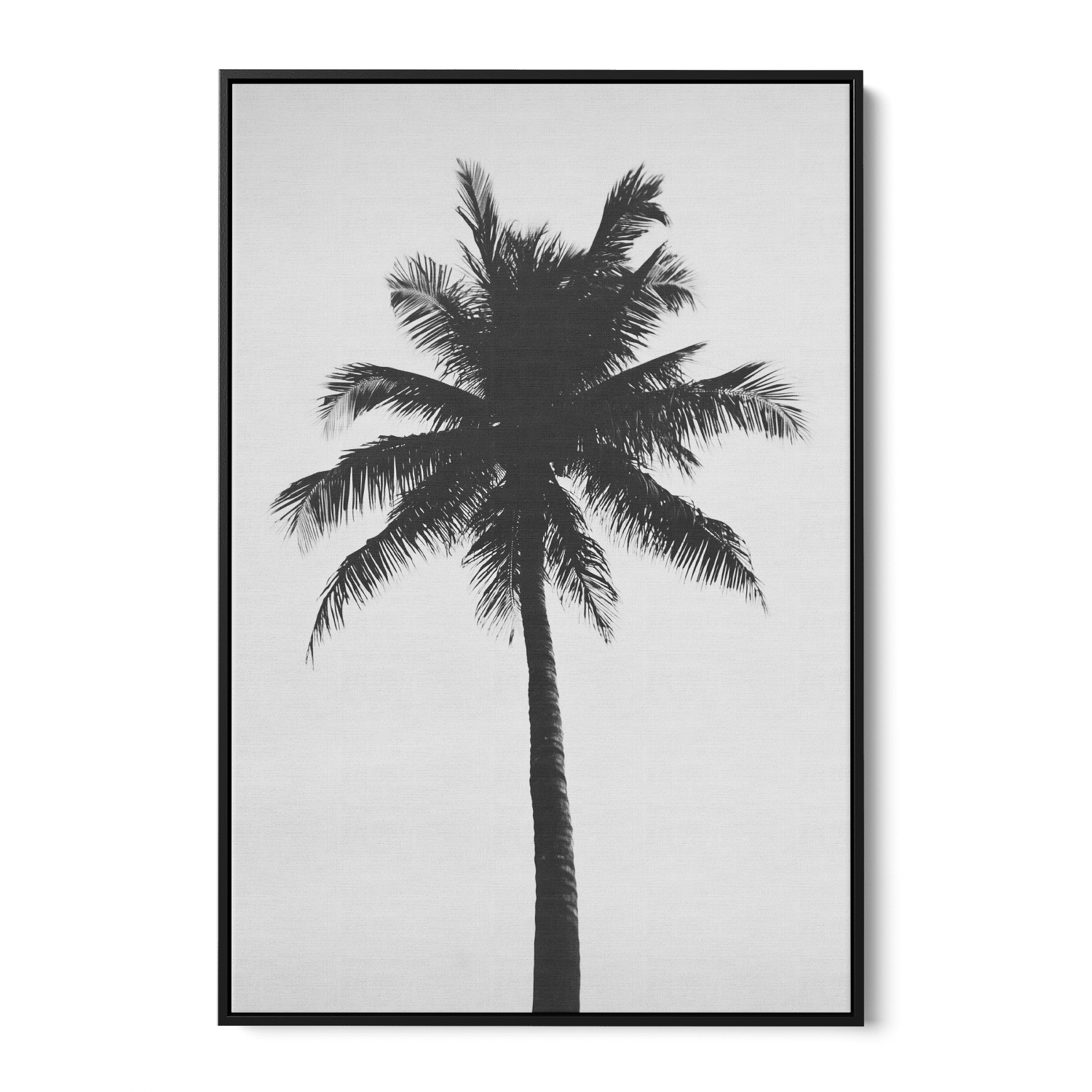 THE ABSTRACT PALM*Canvas*40x60*Baklijst*Kunstwerk*Masculina.nl