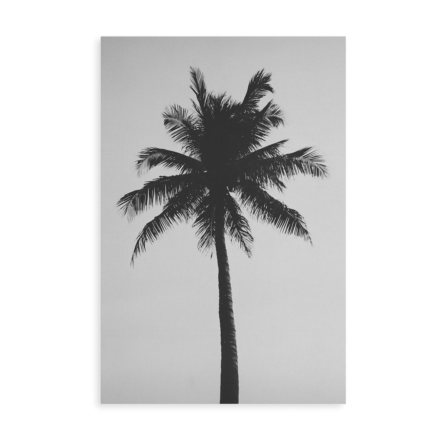 THE ABSTRACT PALM*Canvas*40x60*Canvas*Kunstwerk*Masculina.nl