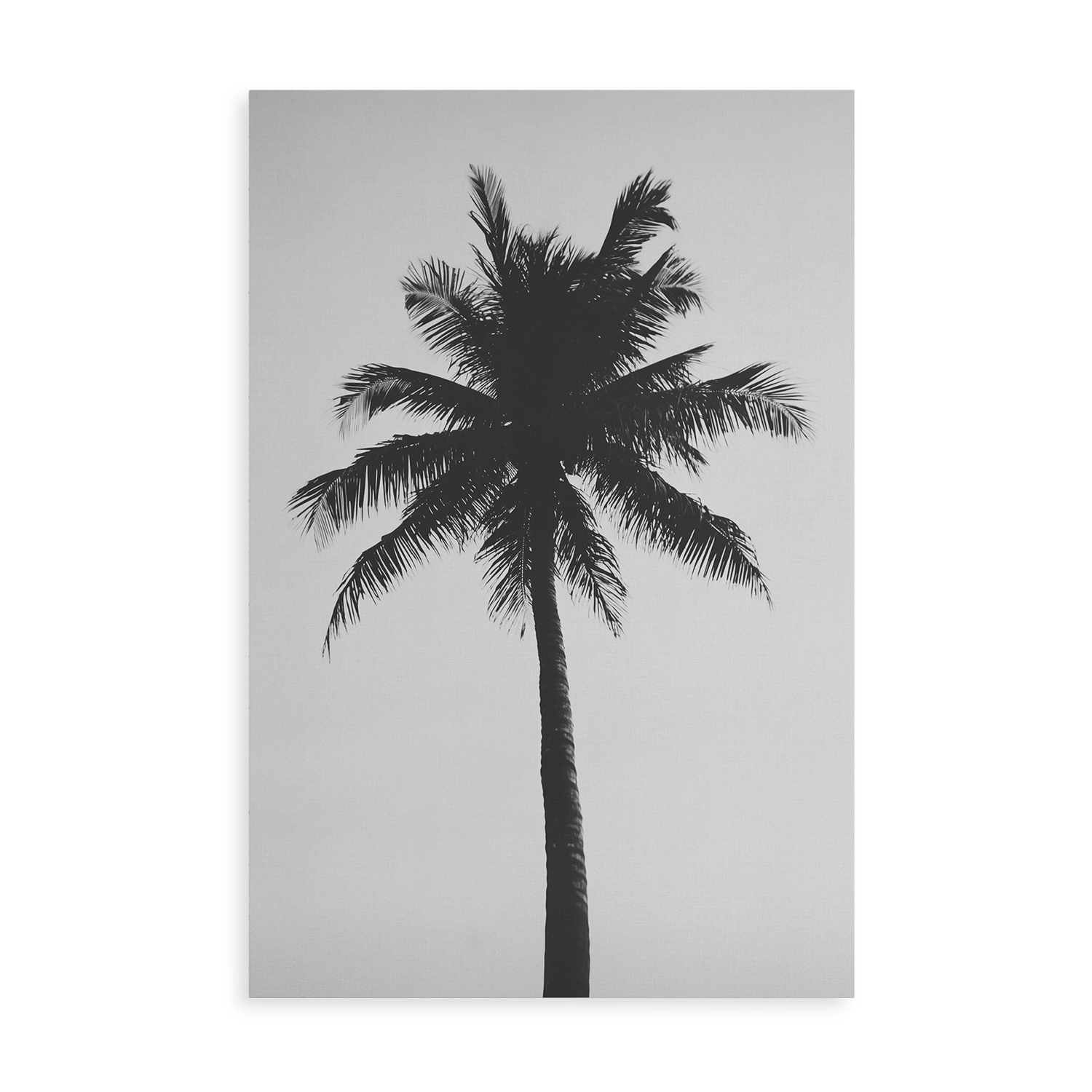 THE ABSTRACT PALM*Canvas*40x60*Canvas*Kunstwerk*Masculina.nl