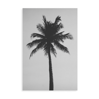 THE ABSTRACT PALM*Canvas*40x60*Canvas*Kunstwerk*Masculina.nl