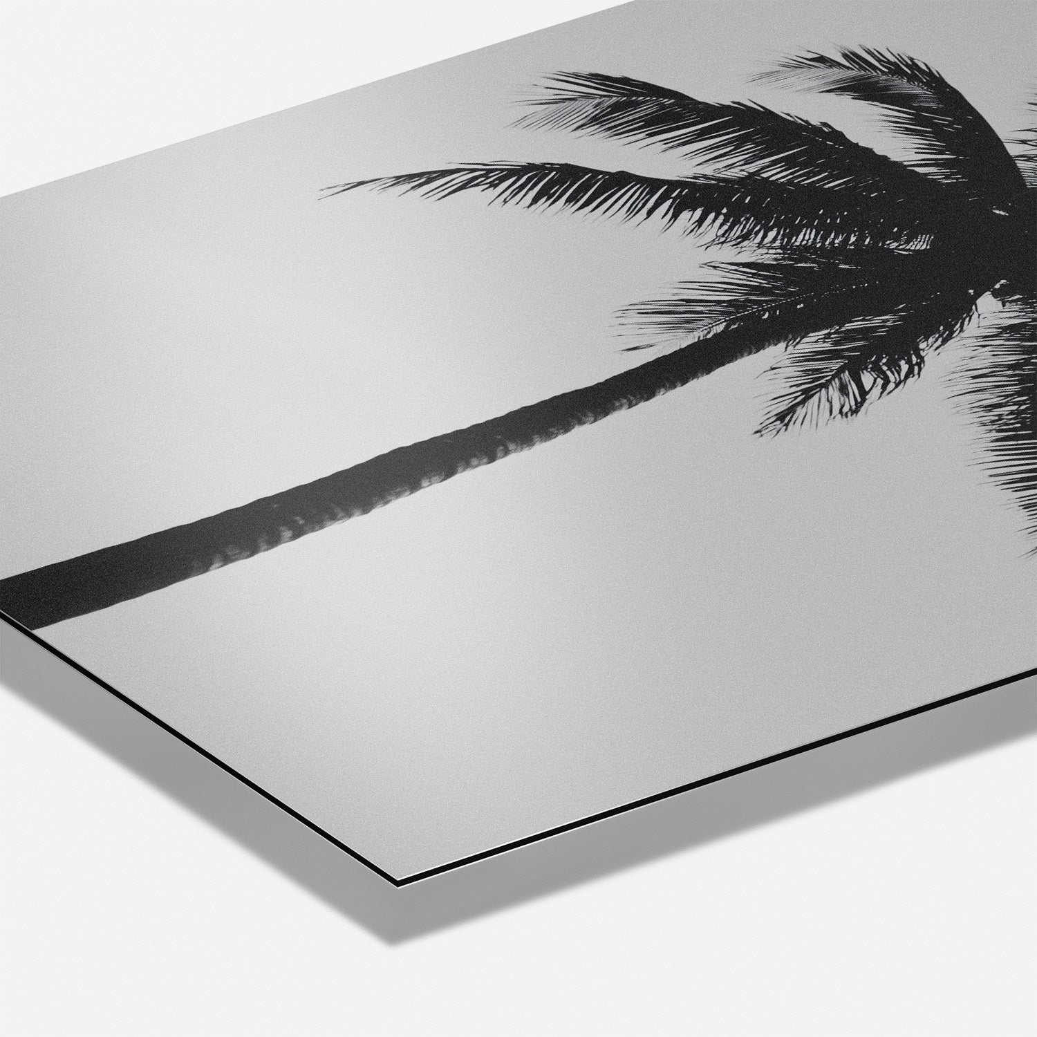 THE ABSTRACT PALM*Dibond*40x60*Dibond*Kunstwerk*Masculina.nl