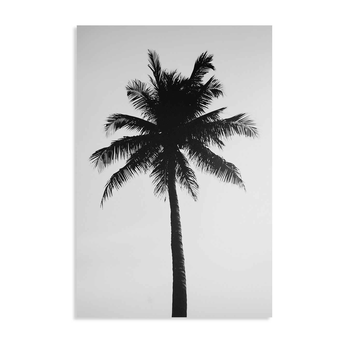 THE ABSTRACT PALM*Dibond*40x60*Dibond*Kunstwerk*Masculina.nl