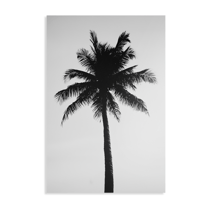 THE ABSTRACT PALM*Dibond*40x60*Dibond*Kunstwerk*Masculina.nl
