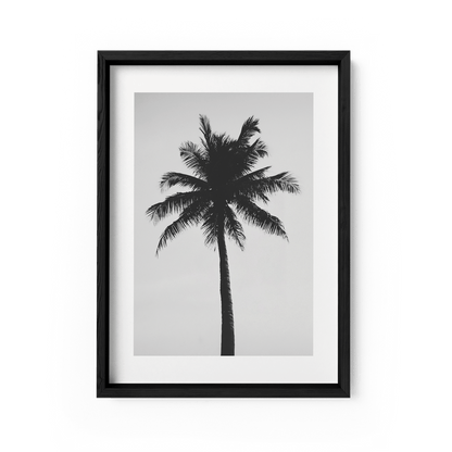 THE ABSTRACT PALM*Papier*40x60*Papier*Kunstwerk*Masculina.nl
