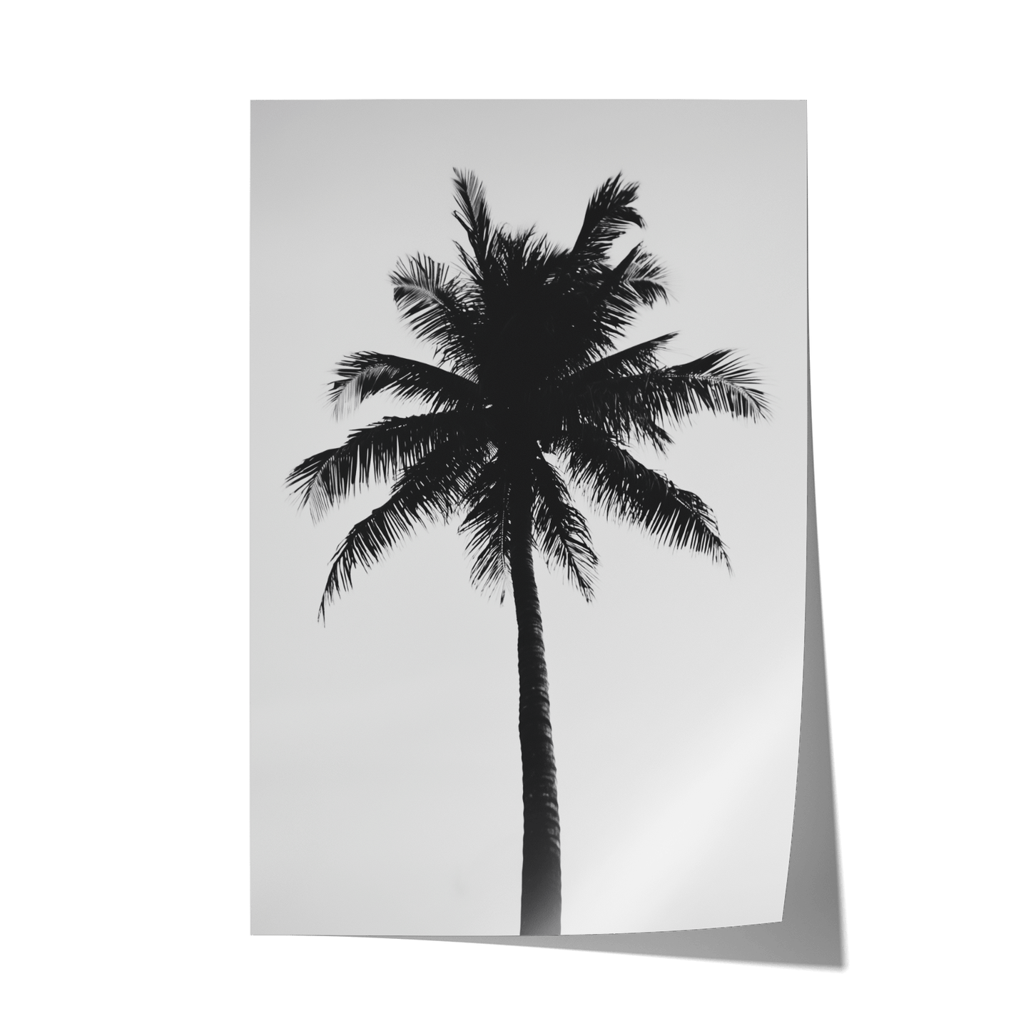 THE ABSTRACT PALM*Papier*40x60*Papier*Kunstwerk*Masculina.nl