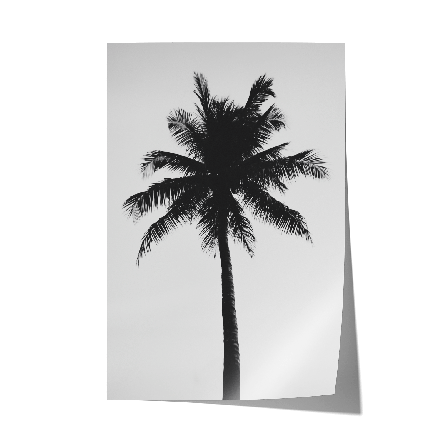 THE ABSTRACT PALM*Papier*40x60*Papier*Kunstwerk*Masculina.nl