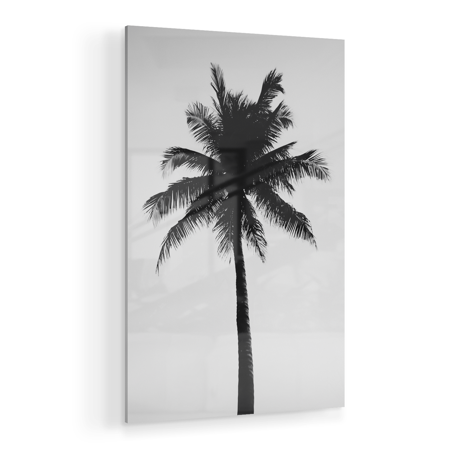 THE ABSTRACT PALM*Plexiglas*40x60*Plexiglas*Kunstwerk*Masculina.nl