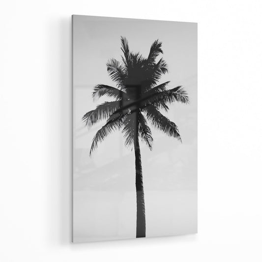 THE ABSTRACT PALM