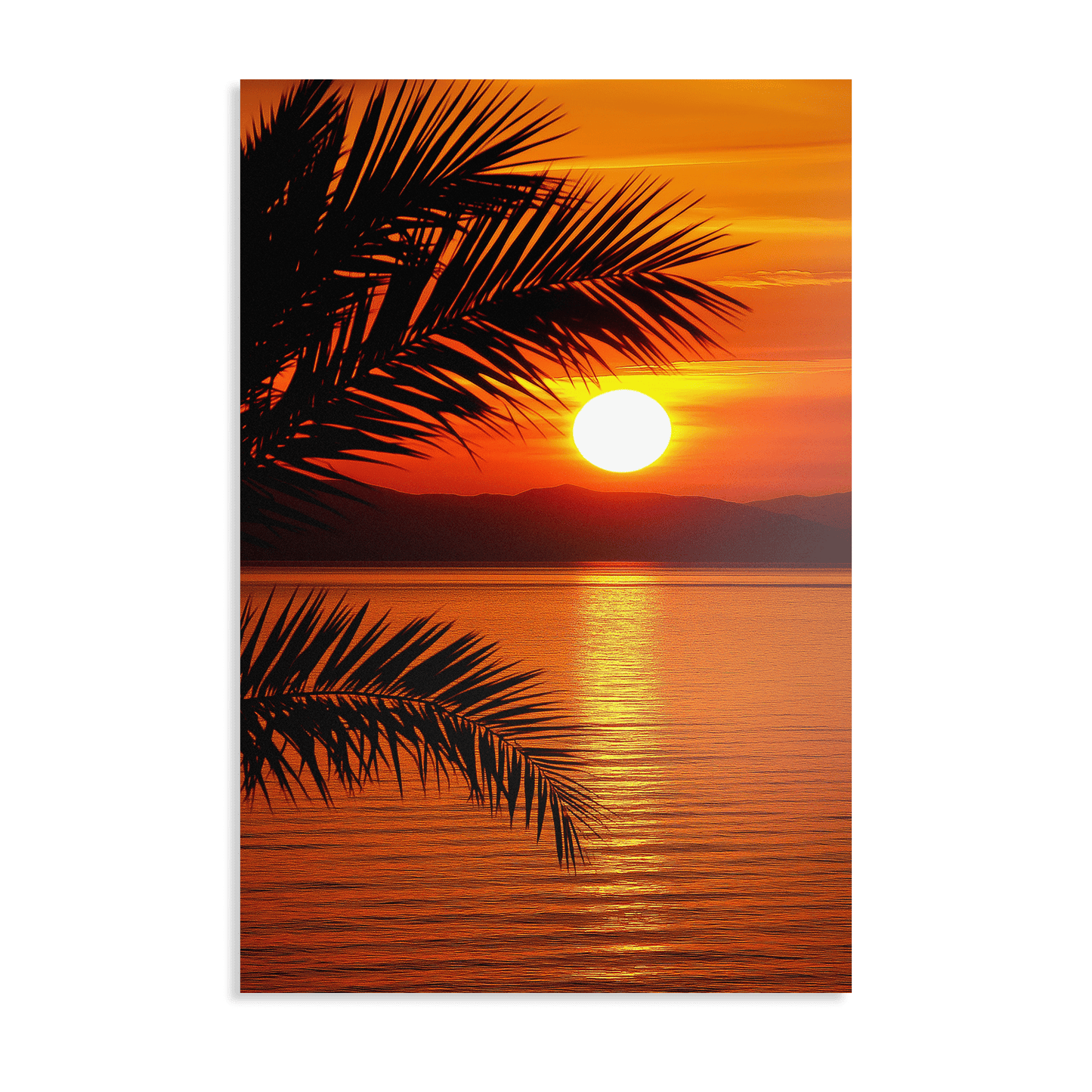 THE LAST GLOW*Dibond*40x60*Dibond*Kunstwerk*Masculina.nl