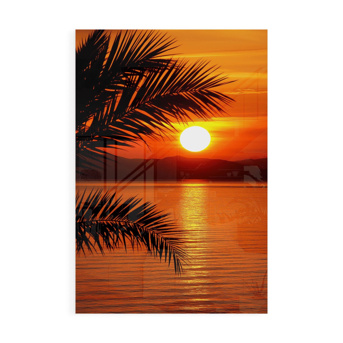 THE LAST GLOW*Plexiglas*40x60*Plexiglas*Kunstwerk*Masculina.nl