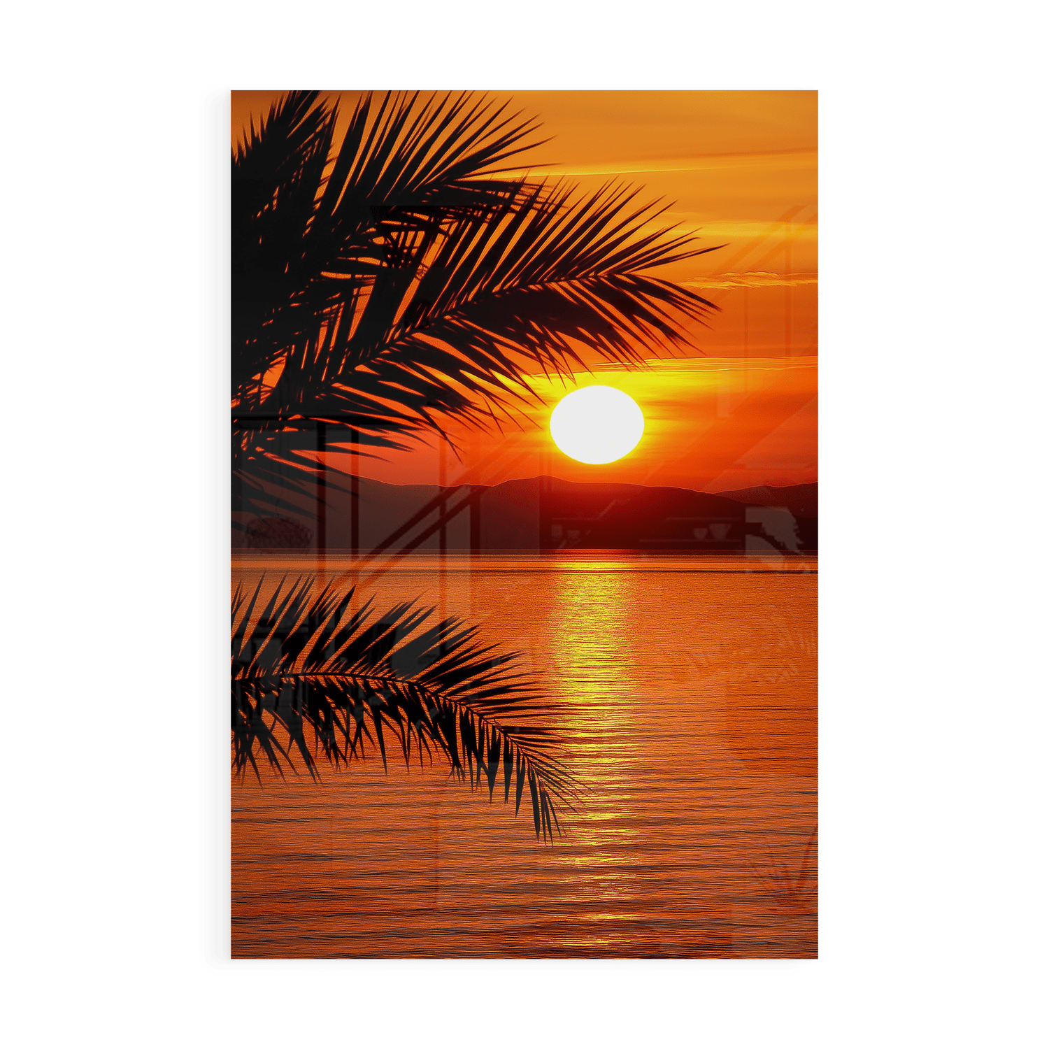 THE LAST GLOW*Plexiglas*40x60*Plexiglas*Kunstwerk*Masculina.nl