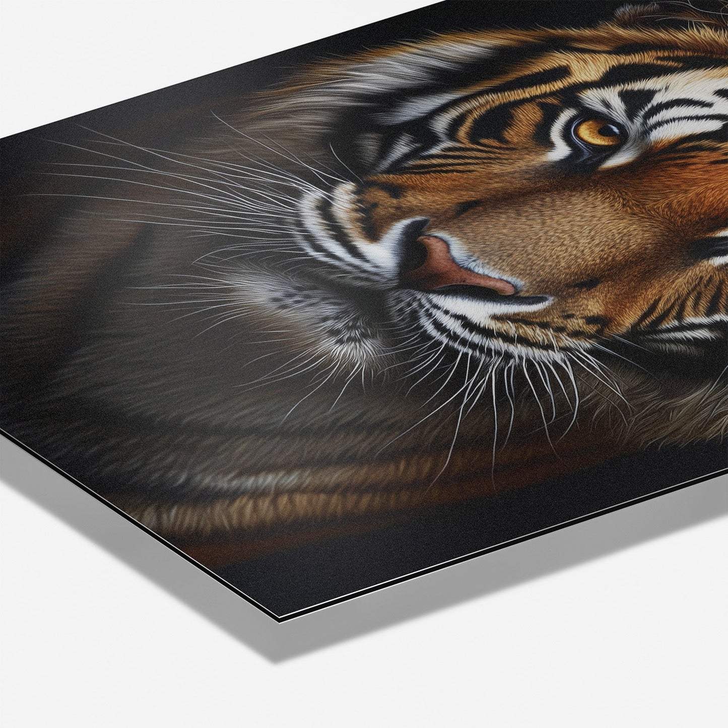 TIGER PORTRAIT*Dibond*40x60*Dibond*Kunstwerk*Masculina.nl