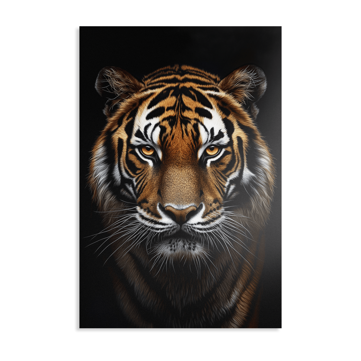 TIGER PORTRAIT*Dibond*40x60*Dibond*Kunstwerk*Masculina.nl