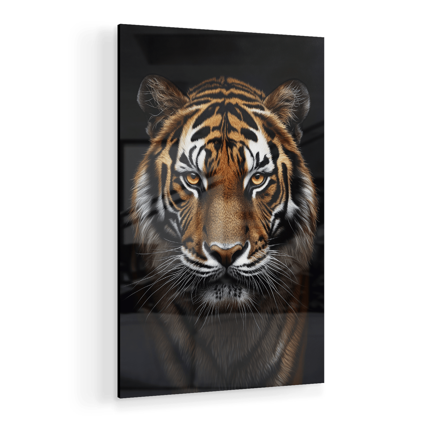 TIGER PORTRAIT*Plexiglas*40x60*Plexiglas*Kunstwerk*Masculina.nl