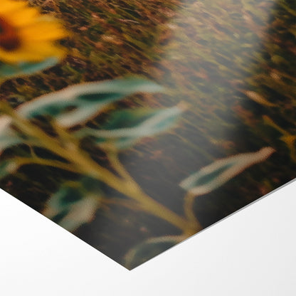 VINTAGE VOYAGE*Papier*40x60 cm*Papier*Kunstwerk*Masculina.nl