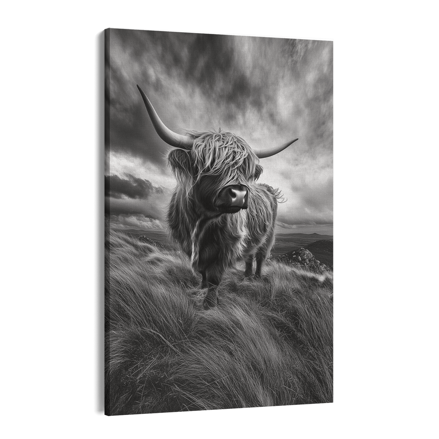 WINDSWEPT HIGHLANDER*Canvas*40x60*Canvas*Kunstwerk*Masculina.nl*Dieren*Hooglanderstag3#