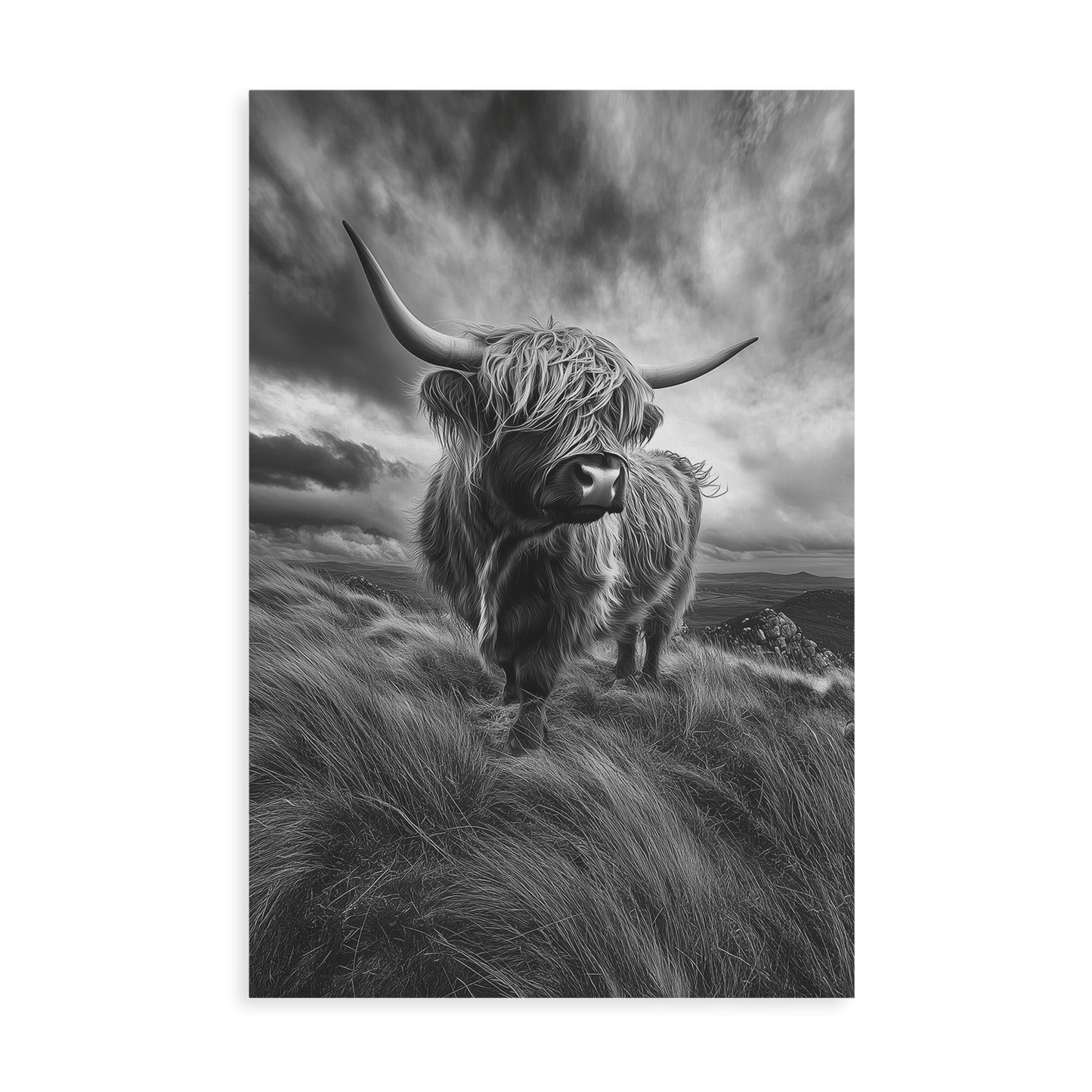 WINDSWEPT HIGHLANDER*Canvas*40x60*Canvas*Kunstwerk*Masculina.nl