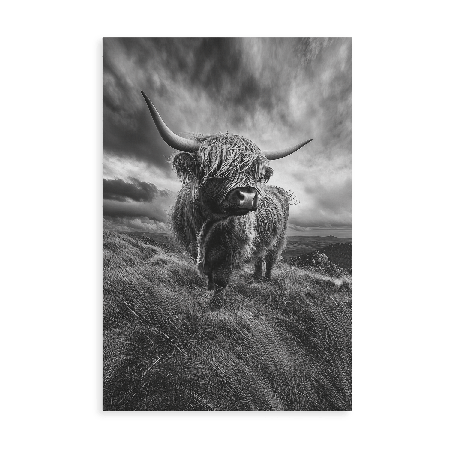 WINDSWEPT HIGHLANDER*Canvas*40x60*Canvas*Kunstwerk*Masculina.nl