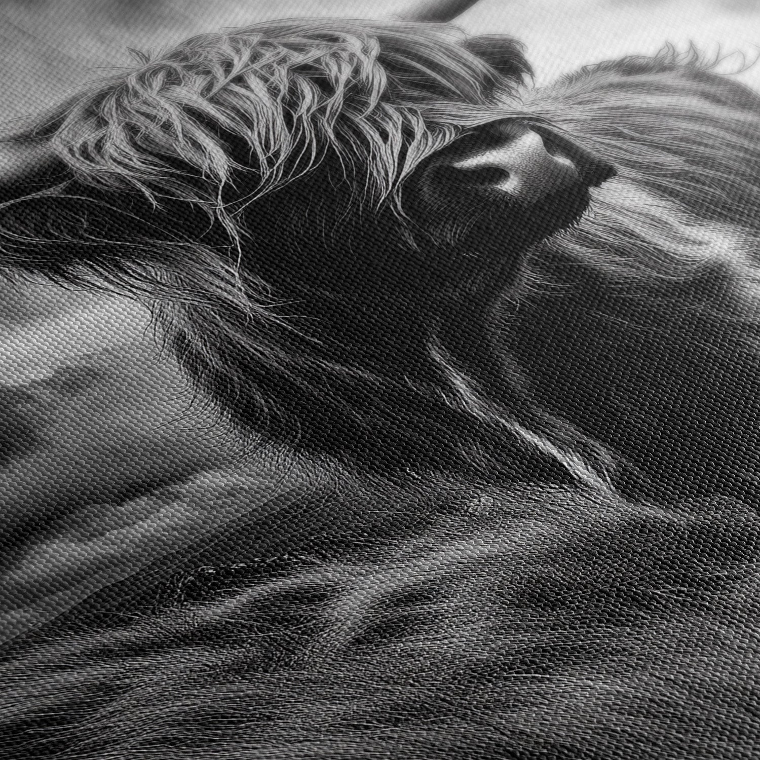 WINDSWEPT HIGHLANDER*Canvas*40x60*Canvas*Kunstwerk*Masculina.nl