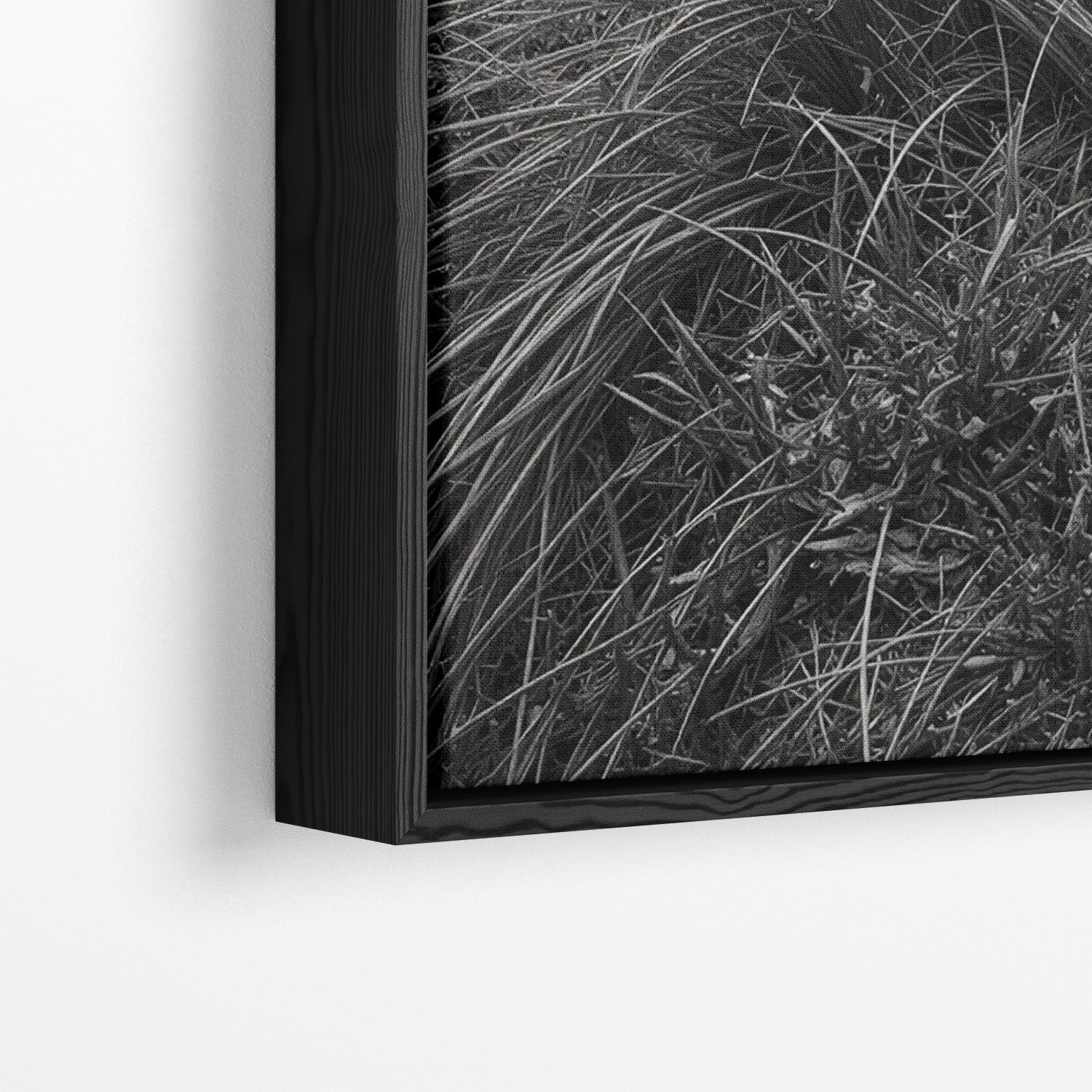 WINDSWEPT HIGHLANDER*Canvas*40x60 cm*Baklijst*Kunstwerk*Masculina.nl