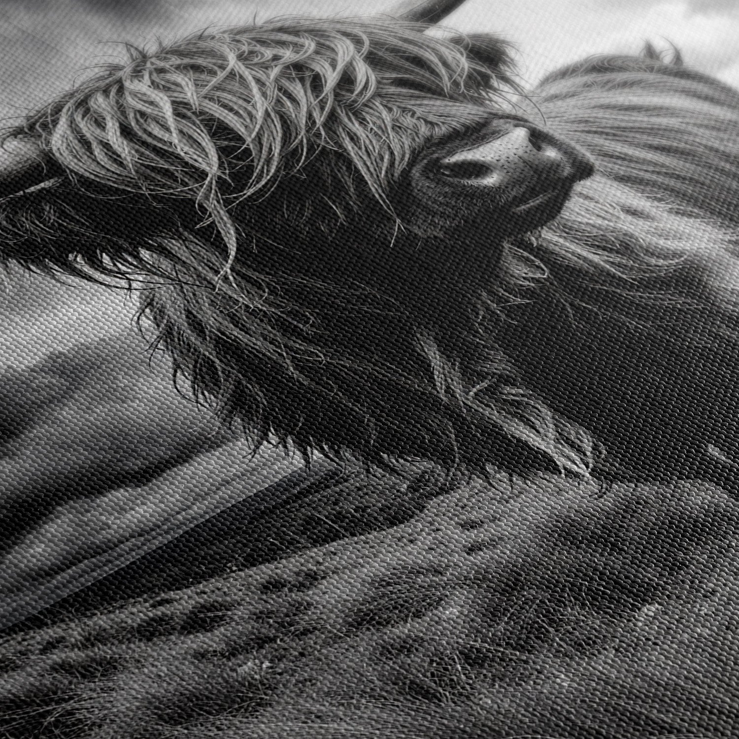 WINDSWEPT HIGHLANDER*Canvas*40x60 cm*Canvas*Kunstwerk*Masculina.nl