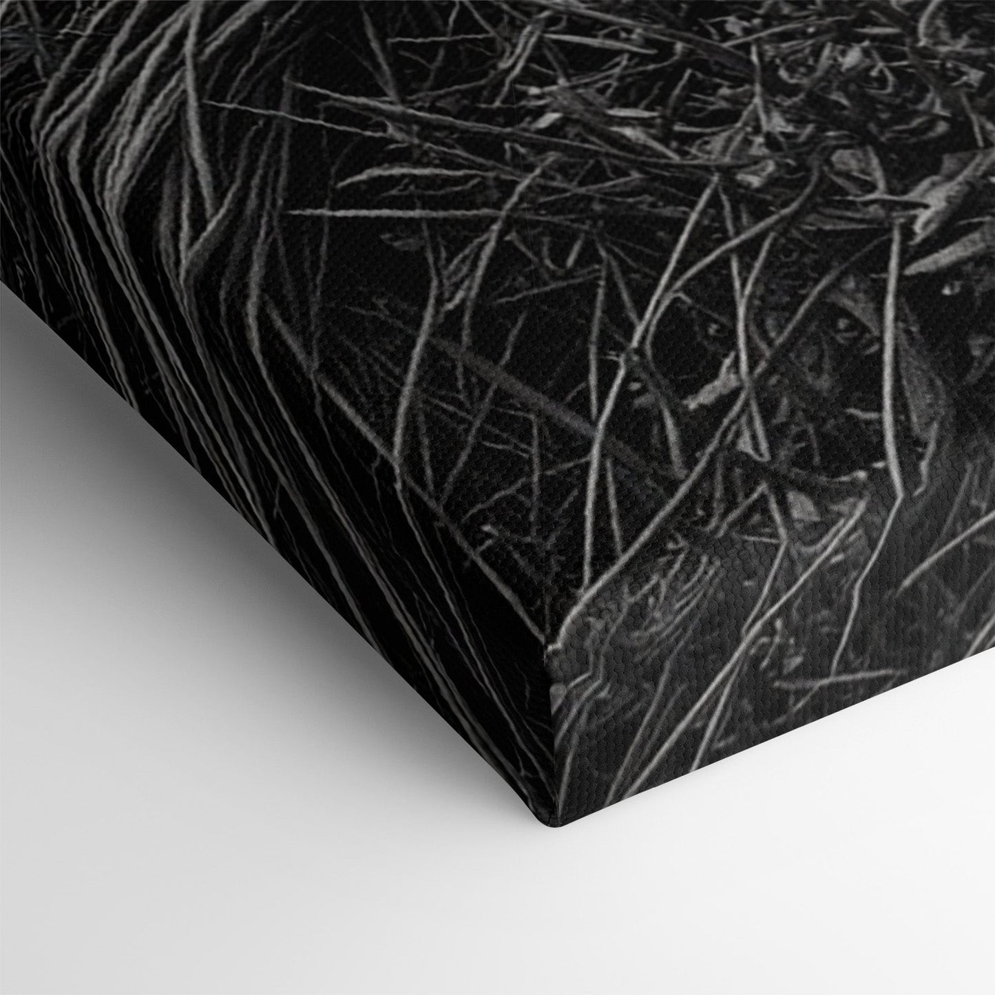 WINDSWEPT HIGHLANDER*Canvas*40x60 cm*Canvas*Kunstwerk*Masculina.nl