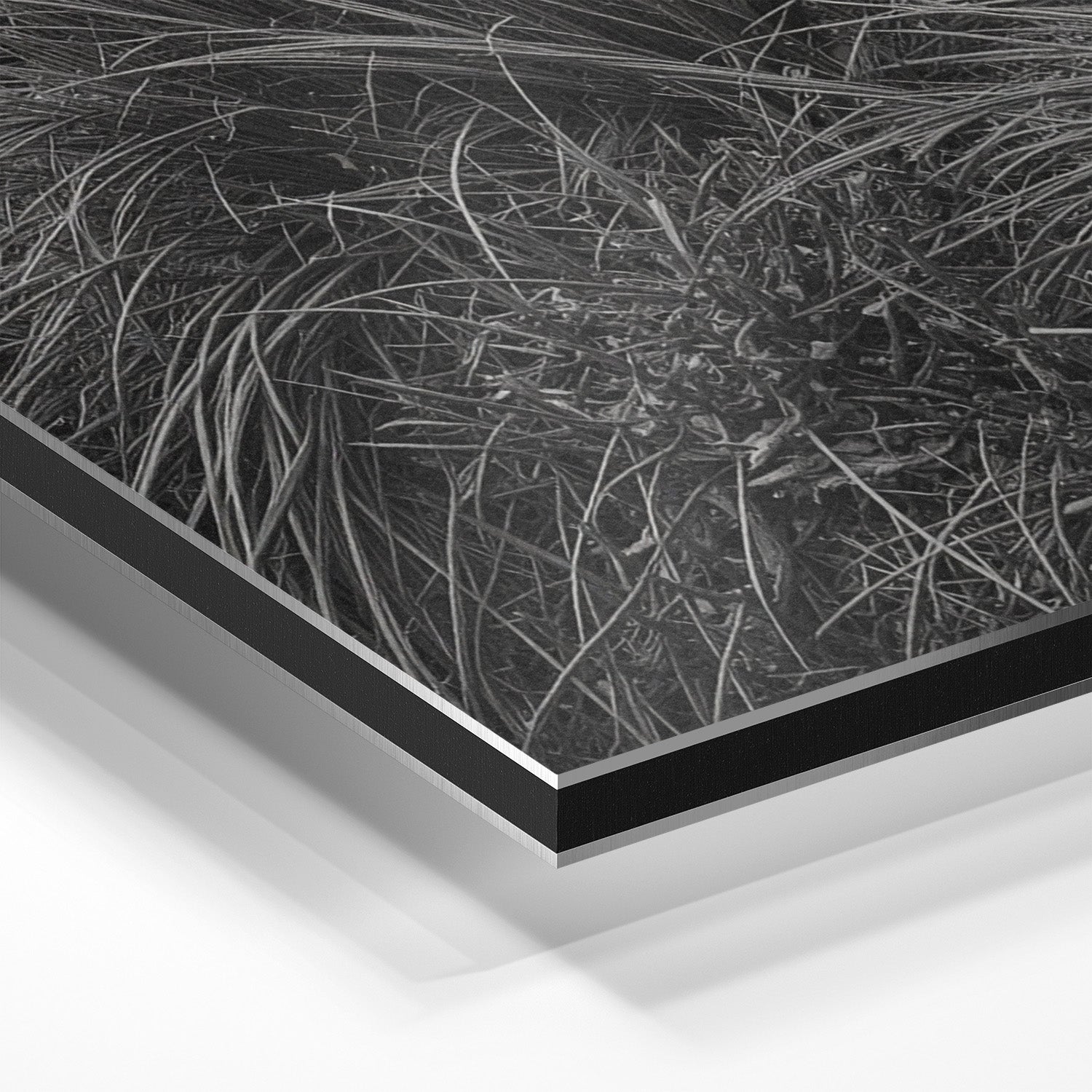 WINDSWEPT HIGHLANDER*Dibond*40x60 cm*Dibond*Kunstwerk*Masculina.nl