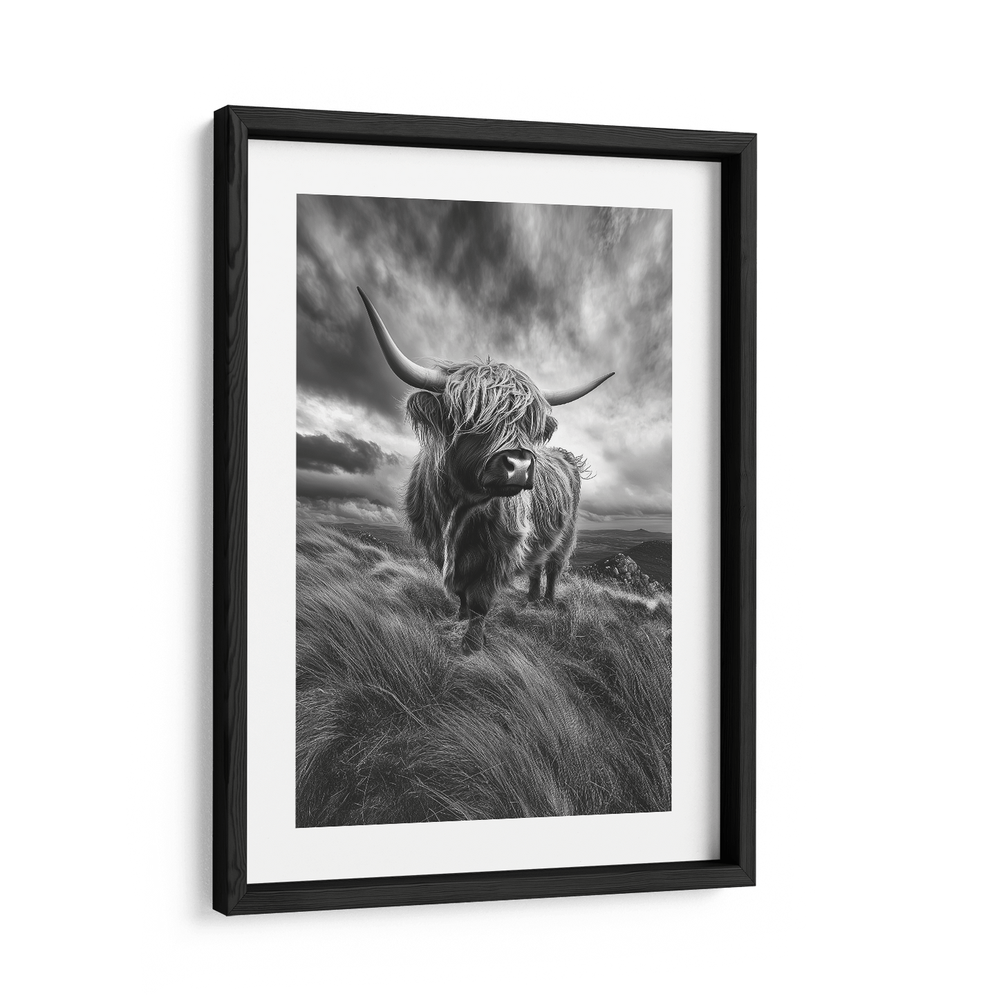 WINDSWEPT HIGHLANDER*Papier*40x60 cm*Papier*Kunstwerk*Masculina.nl