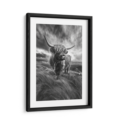 WINDSWEPT HIGHLANDER*Papier*40x60 cm*Papier*Kunstwerk*Masculina.nl