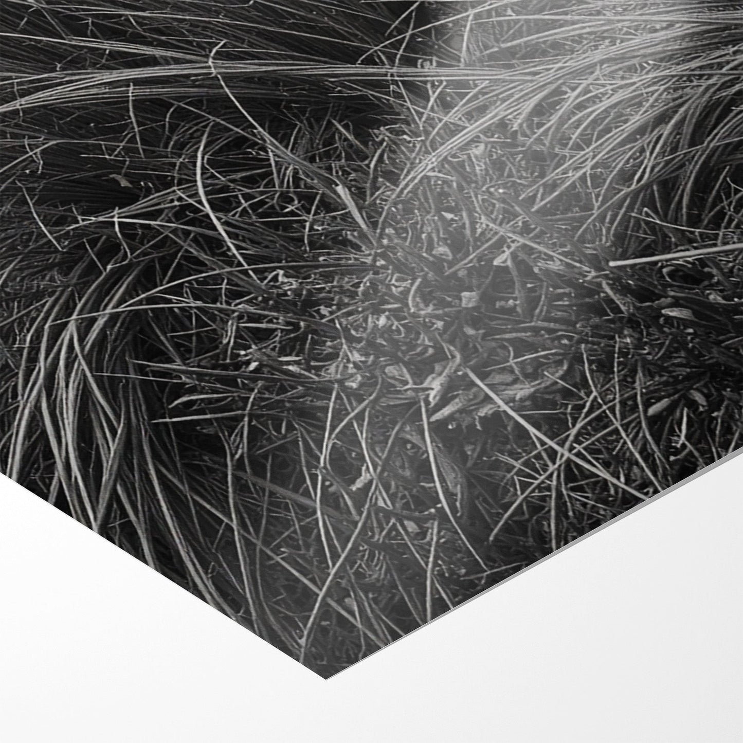 WINDSWEPT HIGHLANDER*Papier*40x60 cm*Papier*Kunstwerk*Masculina.nl