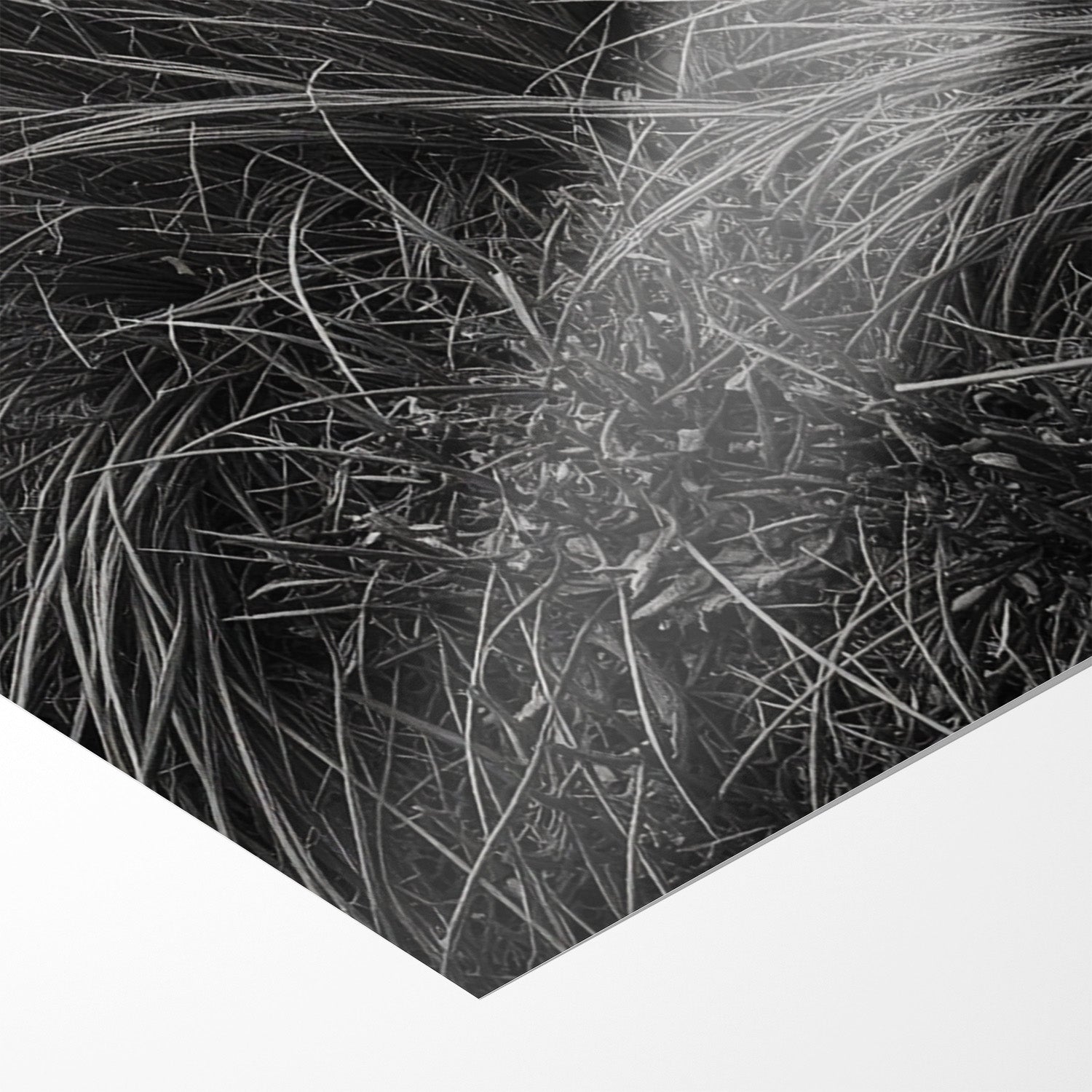 WINDSWEPT HIGHLANDER*Papier*40x60 cm*Papier*Kunstwerk*Masculina.nl