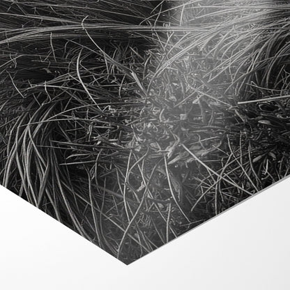 WINDSWEPT HIGHLANDER*Papier*40x60 cm*Papier*Kunstwerk*Masculina.nl