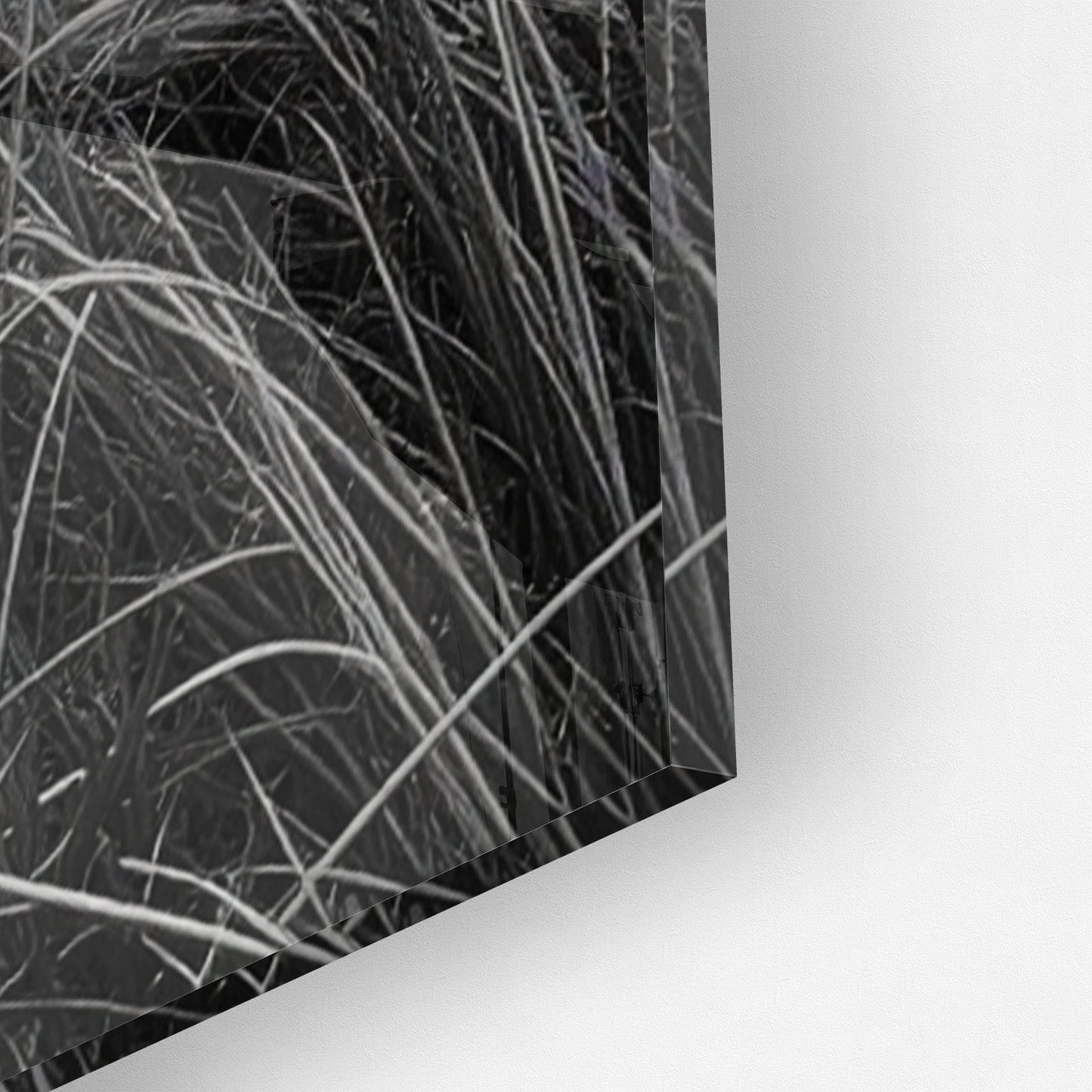 WINDSWEPT HIGHLANDER*Plexiglas*40x60 cm*Plexiglas*Kunstwerk*Masculina.nl