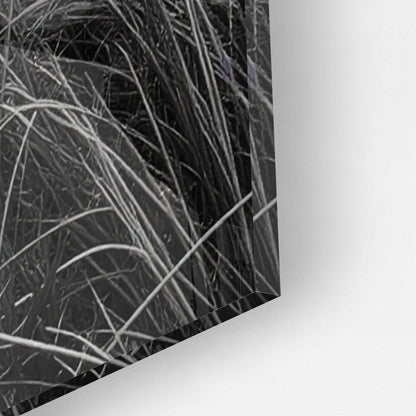 WINDSWEPT HIGHLANDER*Plexiglas*40x60 cm*Plexiglas*Kunstwerk*Masculina.nl