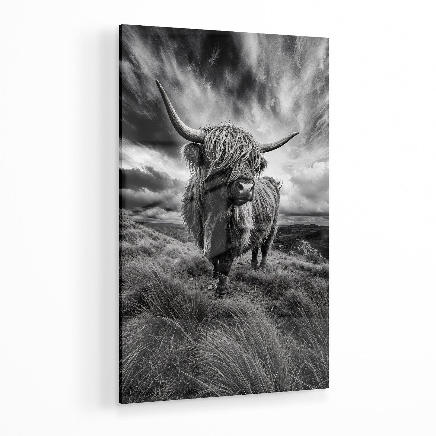 WINDSWEPT HIGHLANDER*Plexiglas*40x60 cm*Plexiglas*Kunstwerk*Masculina.nl