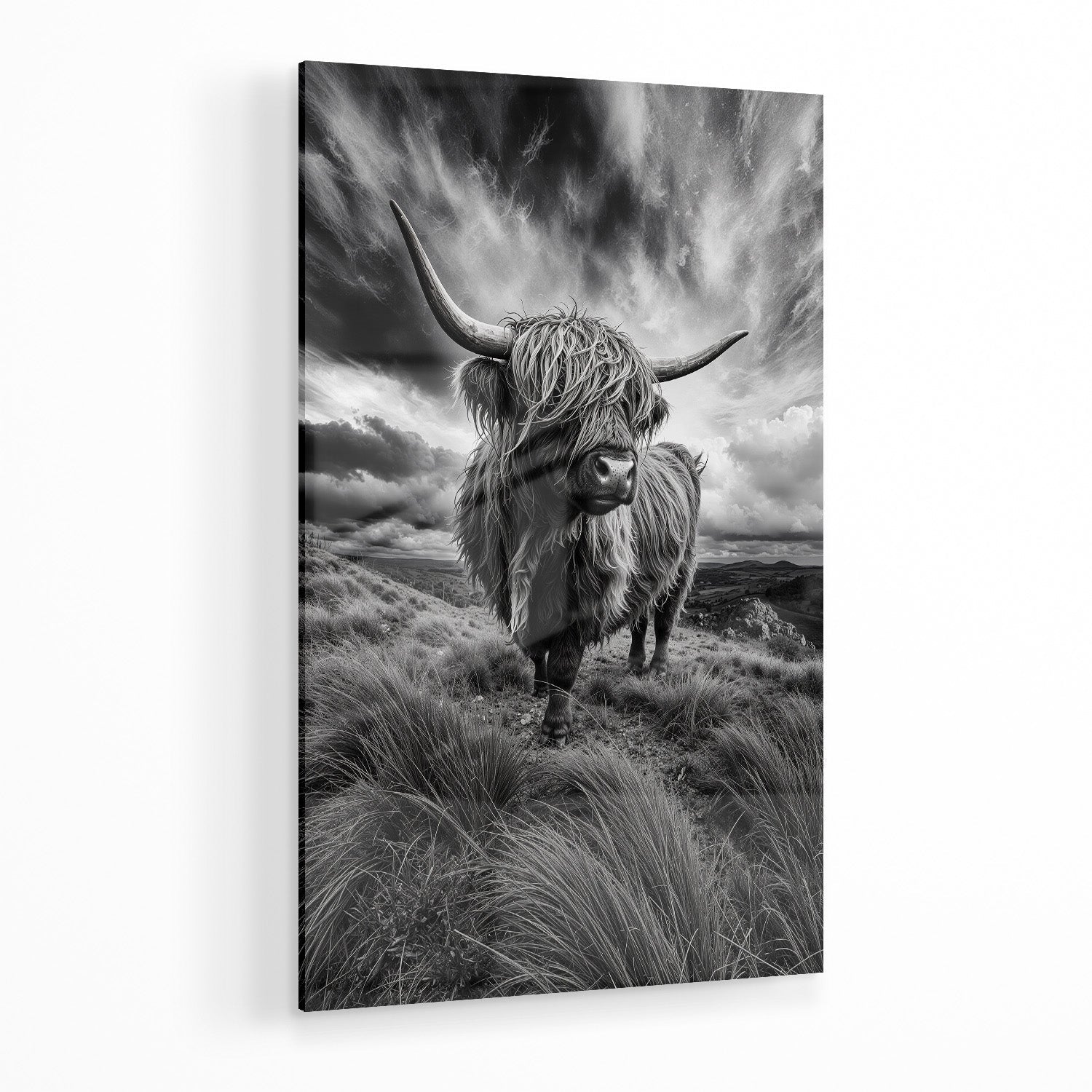 WINDSWEPT HIGHLANDER*Plexiglas*40x60 cm*Plexiglas*Kunstwerk*Masculina.nl