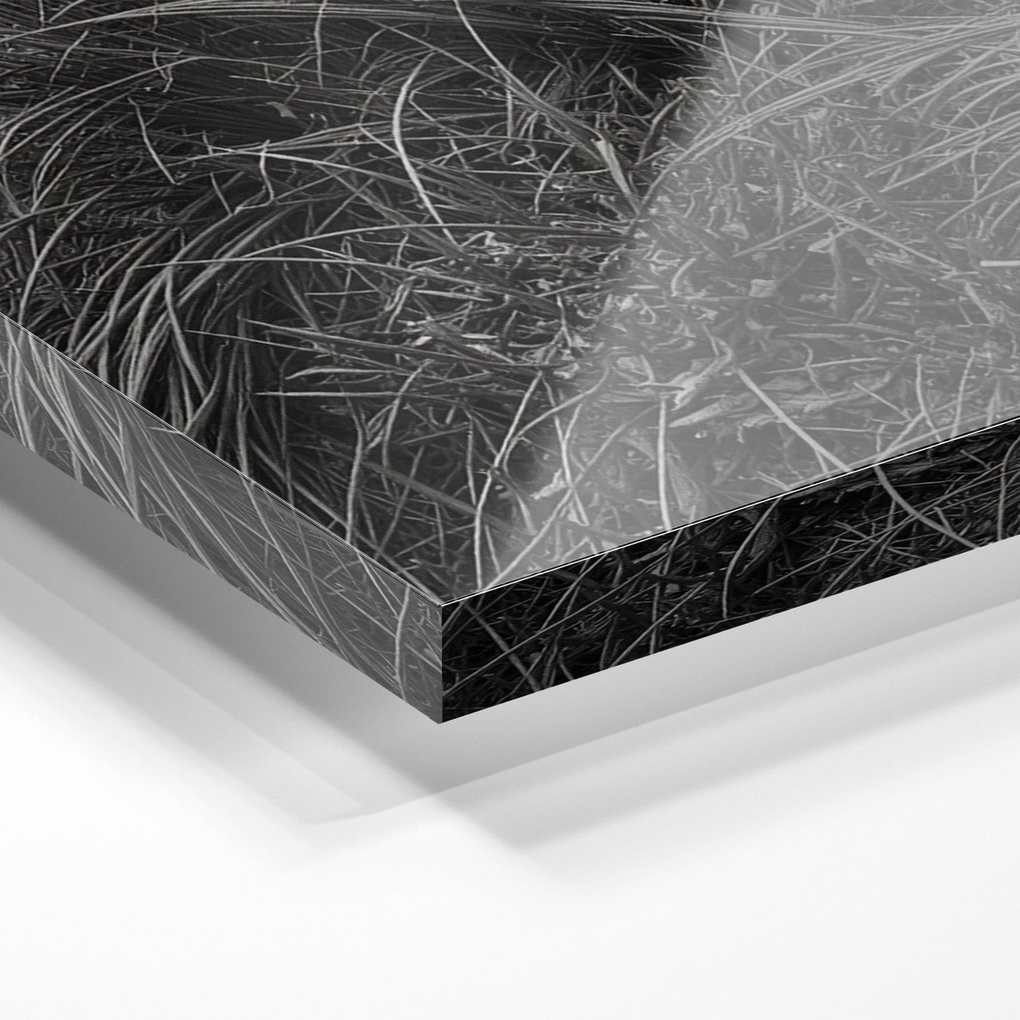 WINDSWEPT HIGHLANDER*Plexiglas*40x60 cm*Plexiglas*Kunstwerk*Masculina.nl