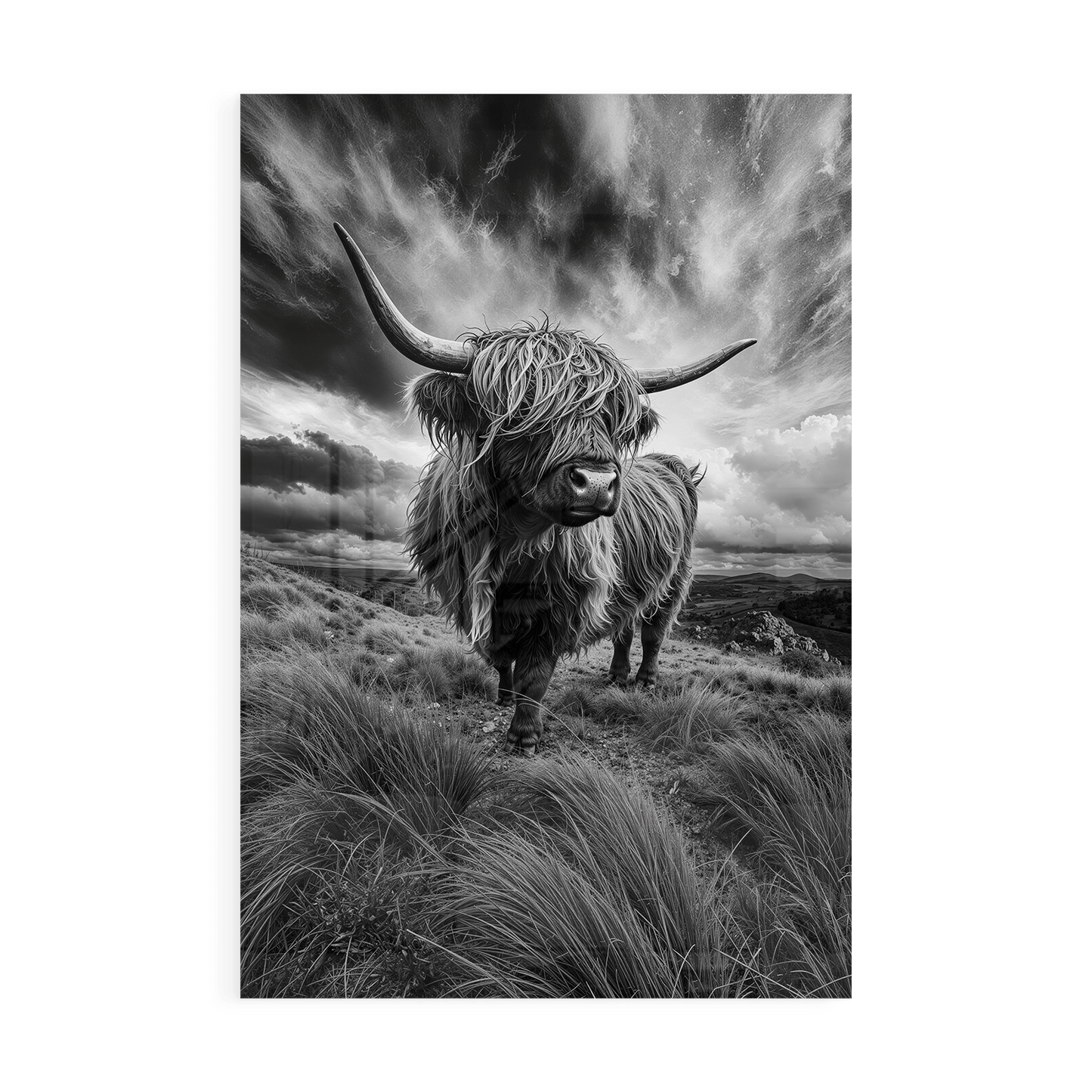 WINDSWEPT HIGHLANDER*Plexiglas*40x60 cm*Plexiglas*Kunstwerk*Masculina.nl