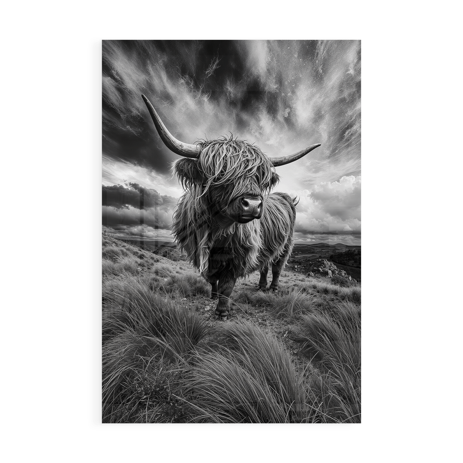 WINDSWEPT HIGHLANDER*Plexiglas*40x60 cm*Plexiglas*Kunstwerk*Masculina.nl