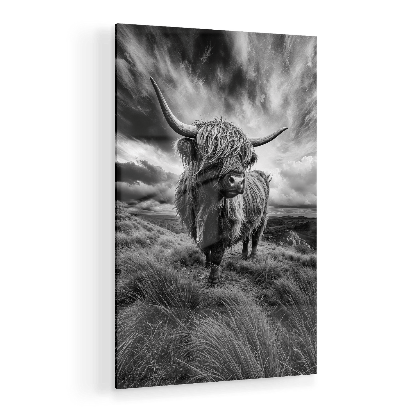 WINDSWEPT HIGHLANDER*Plexiglas*40x60 cm*Plexiglas*Kunstwerk*Masculina.nl