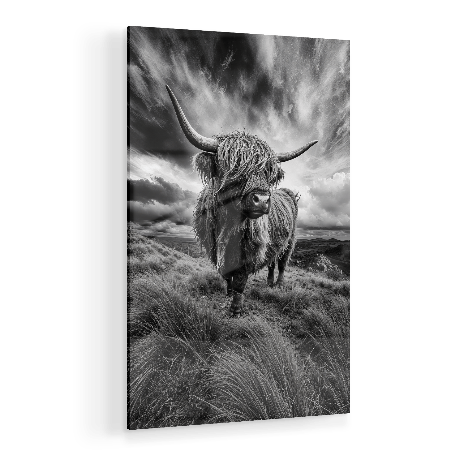 WINDSWEPT HIGHLANDER*Plexiglas*40x60 cm*Plexiglas*Kunstwerk*Masculina.nl