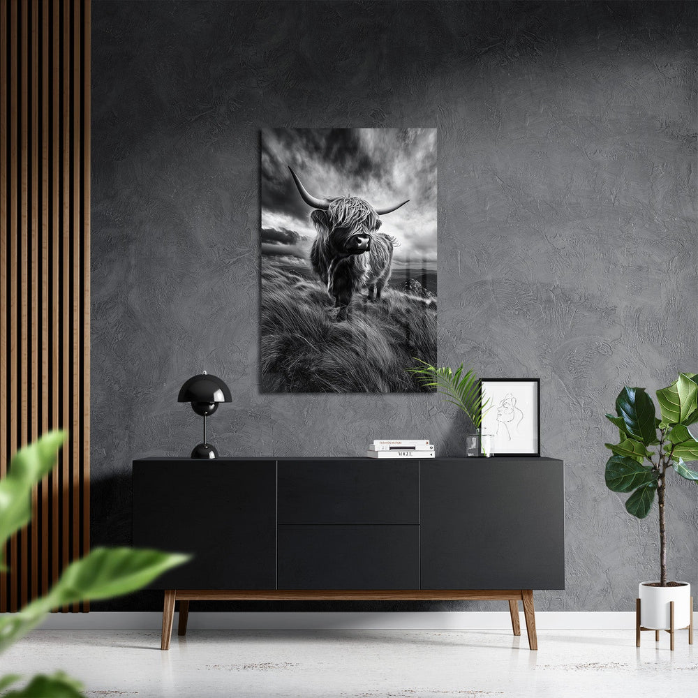 WINDSWEPT HIGHLANDER*Plexiglas*40x60*Plexiglas*Kunstwerk*Masculina.nl*Dieren*Hooglanderstag3#
