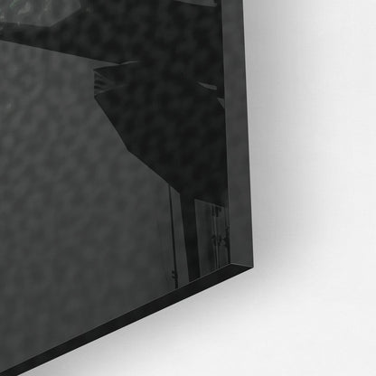 WINGS & WHEELS*Plexiglas*40x60 cm*Plexiglas*Kunstwerk*Masculina.nl