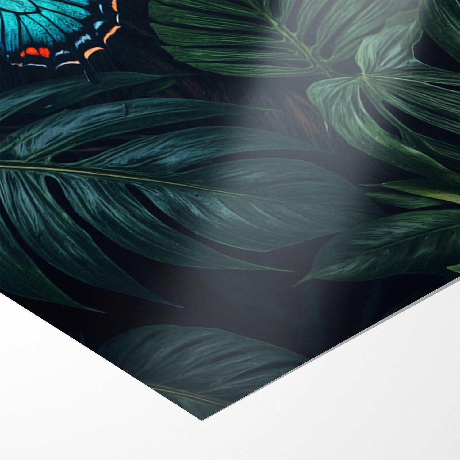 WINGS & WHISKERS - LION*Papier*40x60 cm*Papier*Kunstwerk*Masculina.nl