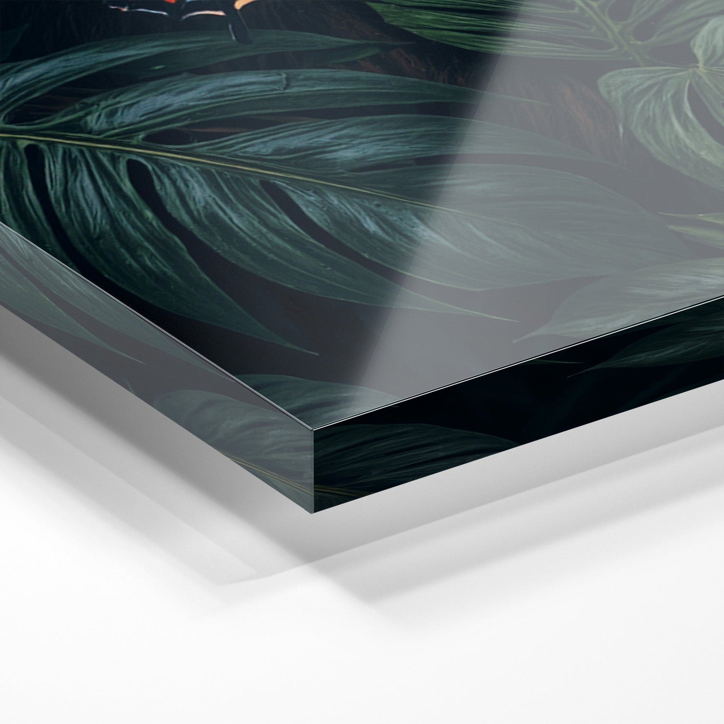 WINGS & WHISKERS - LION*Plexiglas*40x60 cm*Plexiglas*Kunstwerk*Masculina.nl